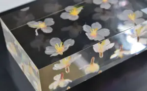 桜造花封入